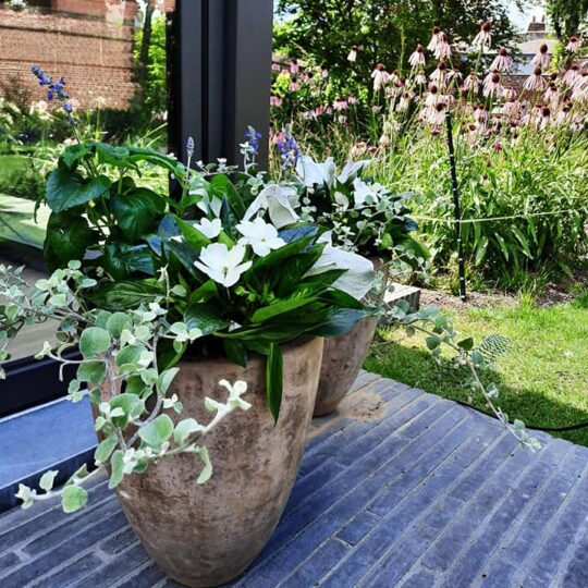 Composition, pot de fleur exterieur pour jardin et terrasse