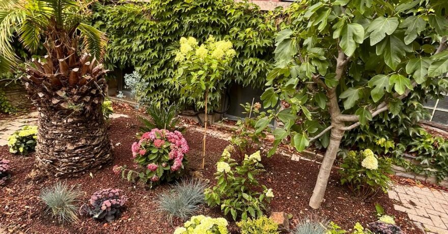 Plantation d’arbres, arbustes, végétaux, fleurs, création de massif. Les Secrets de Liège vous aide à assembler votre extérieur avec votre intérieur