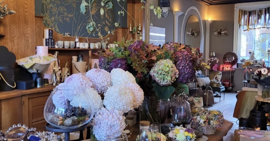 Les secrets de Liège offrent une place aux chrysanthèmes. Fleurs de l'amour, de la tendresse, de la Positivité, de la lumière. Offrir, fleurir, aimer